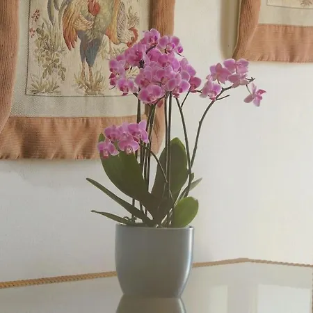 Casa Roma Holiday home *