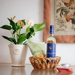 Casa Roma Ferienhaus